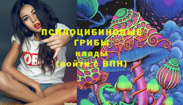 MDMA Premium VHQ Дмитриев