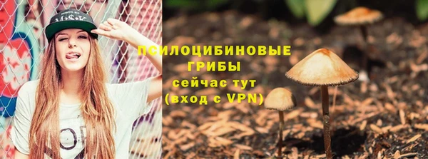 ПСИЛОЦИБИНОВЫЕ ГРИБЫ Дмитровск