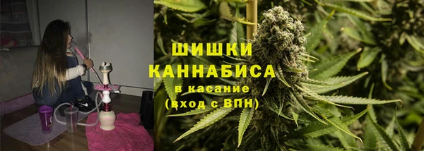 ПСИЛОЦИБИНОВЫЕ ГРИБЫ Дмитровск