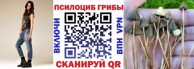 цена наркотик  Реж  Псилоцибиновые грибы мицелий 