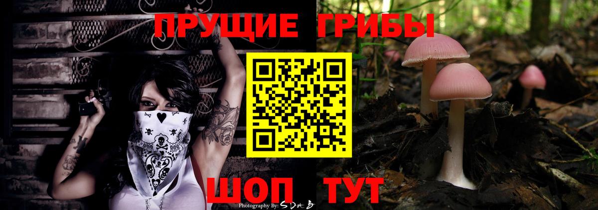 Галлюциногенные грибы Cubensis  Вход с VPN  Реж 