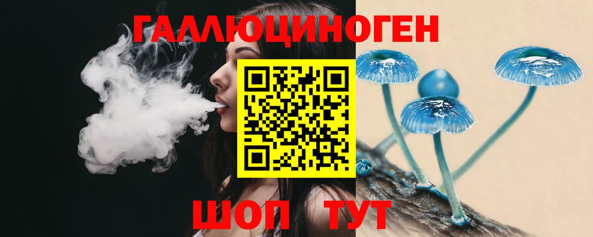 Псилоцибиновые грибы Psilocybine cubensis Реж